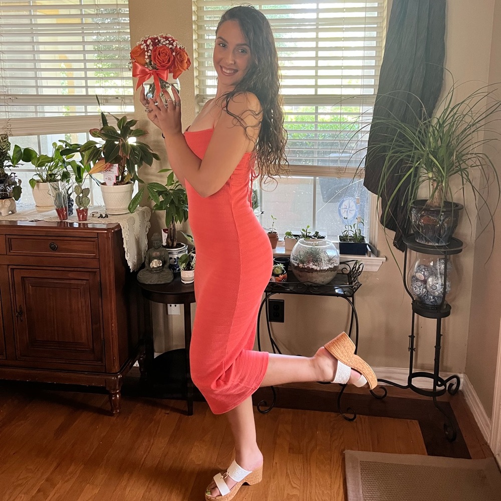 Meet your Posher, Creedence!